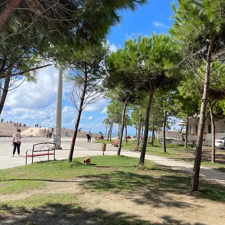 Vollga Escape Daire *