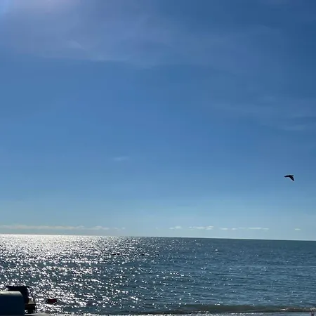 Vollga Escape